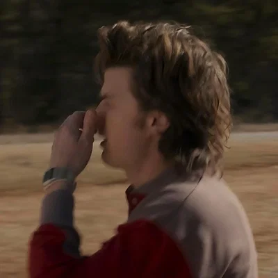Steve Harrington 