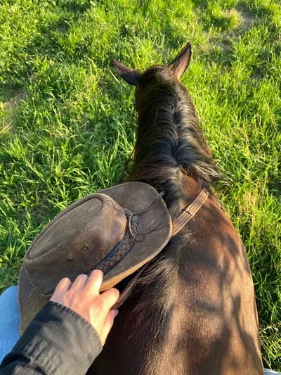 Cowboy
