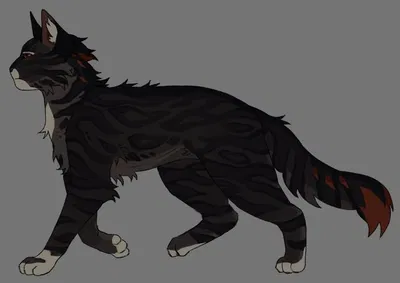 PantherFoot