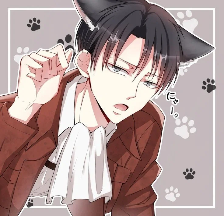 Levi Ackerman - Cat Shifter