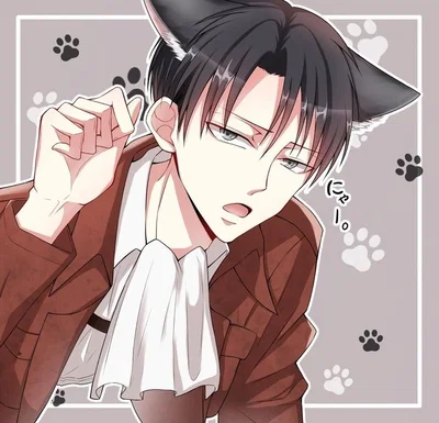 Levi Ackerman - Cat Shifter