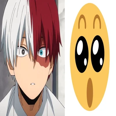 Shoto Todoroki!
