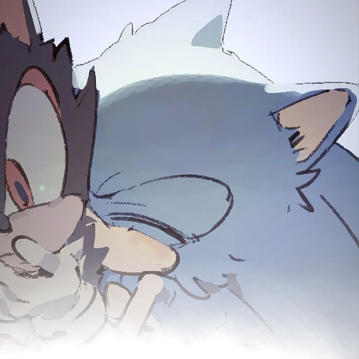       ⋆.𐙚 ̊       Sonic The Hedgehog ~ [ S. T. H]▪️