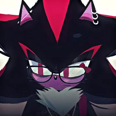 Shadow high school