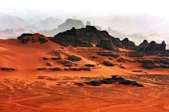 Starving Sands