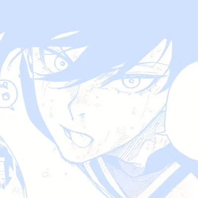 Pro Player!Rin Itoshi
