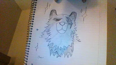 Working on bots <3