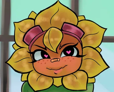 Solar Flare