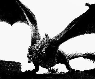 Claim Your Dragon. Fight for Your Queen. 