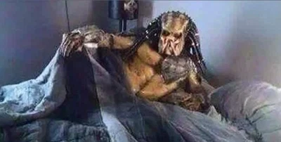  Lover Predator