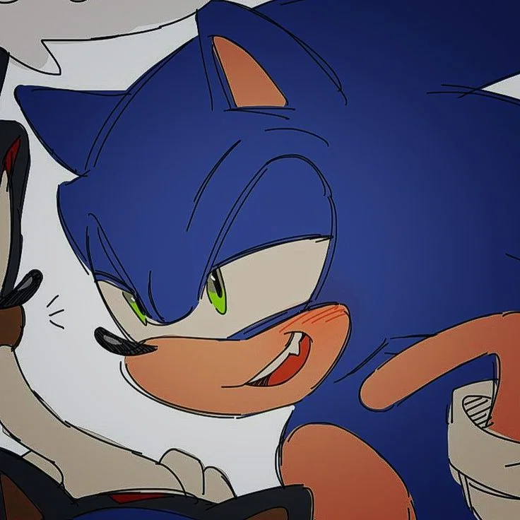 𐔌 . ⋮ Sonic .ᐟ ֹ ꒱
