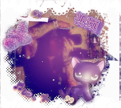 Nikki Sixx   𓏴  Step─Father𔓕