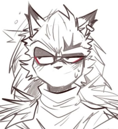 EXE SONIC