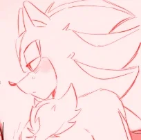 .・ ゚-: ✧☾ Shadow The Hedgehog ☽✧ :- ゚・.
