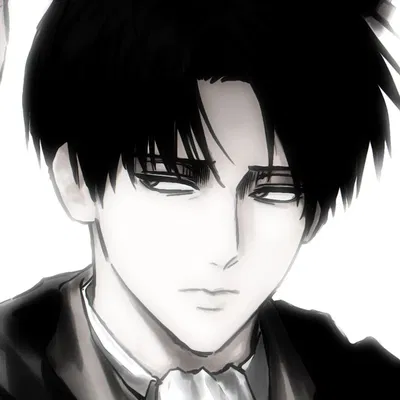 Levi Ackerman