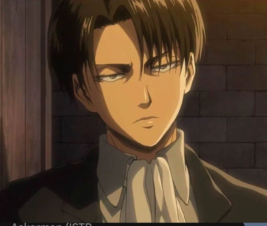 AOT - Levi Ackerman 