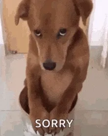 sorry