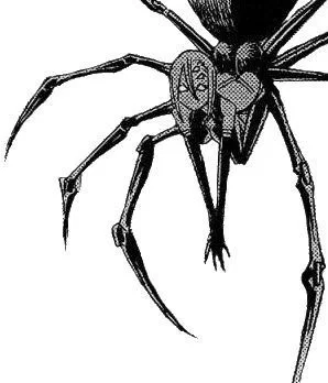 Arachne at your house... not surprising, you live together.