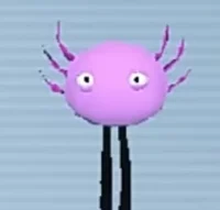 KinitoPET