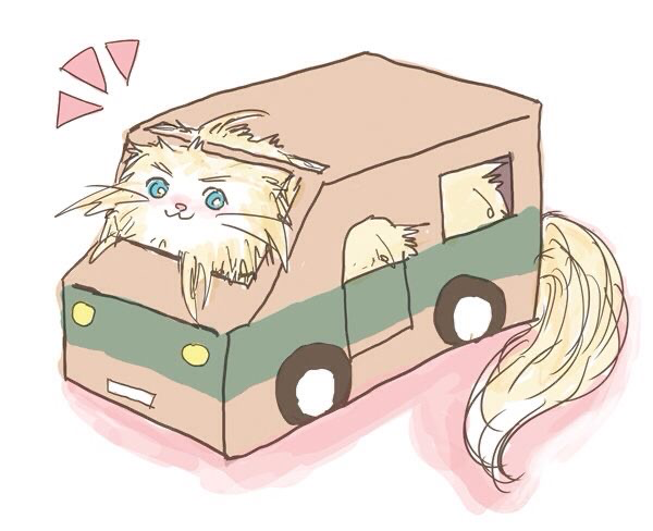 Denmark-cat