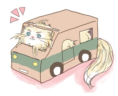 Denmark-cat