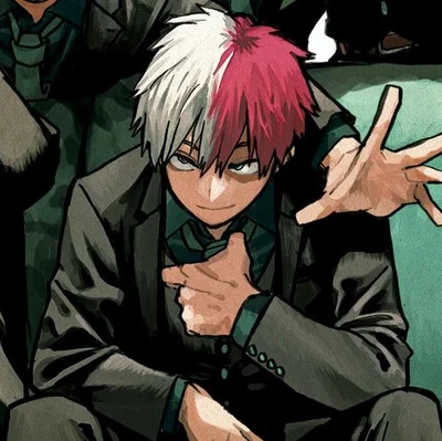 ꕥ┆Shoto Todoroki - Post War┆ꕥ