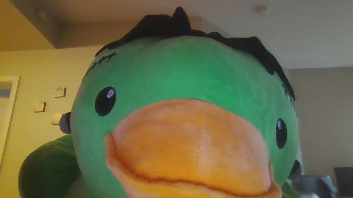 frankenstein duck!