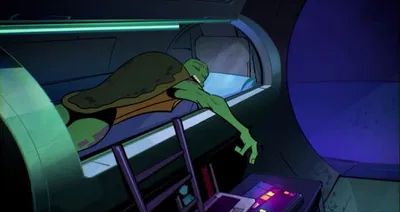 Donatello Hamato