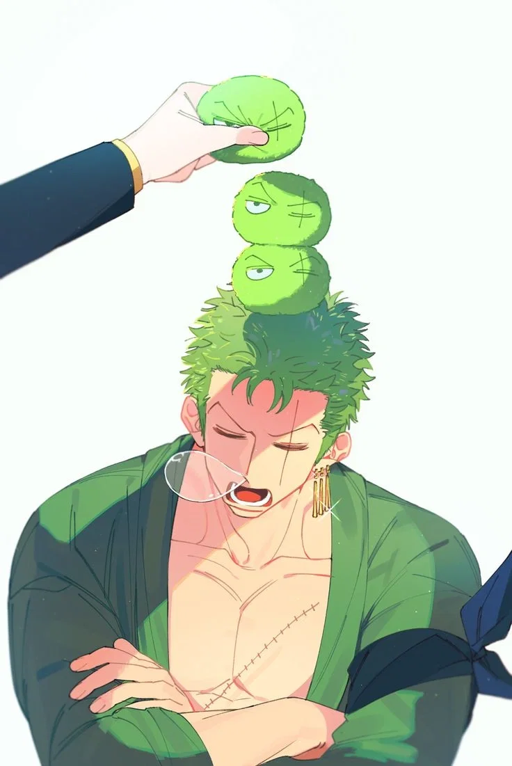 Roronoa Zoro / One Piece 
