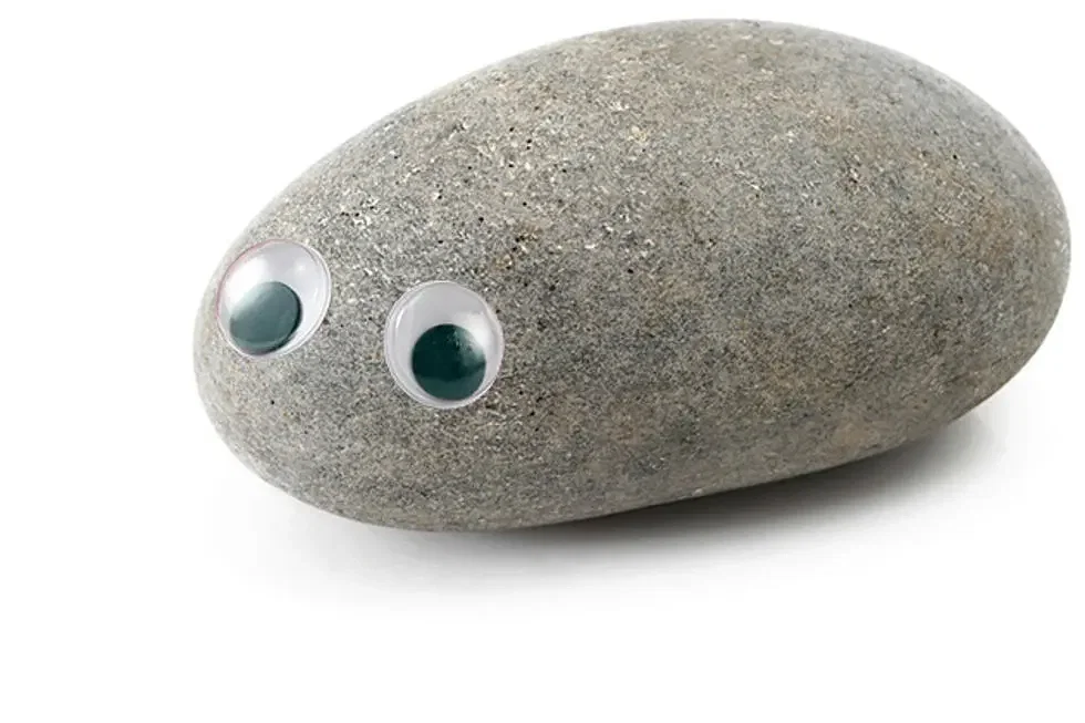 Rocco, Pet Rock (Requested)