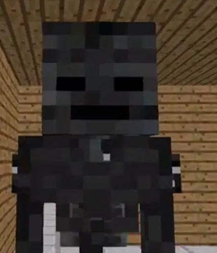 Wither Skeleton - Monster School