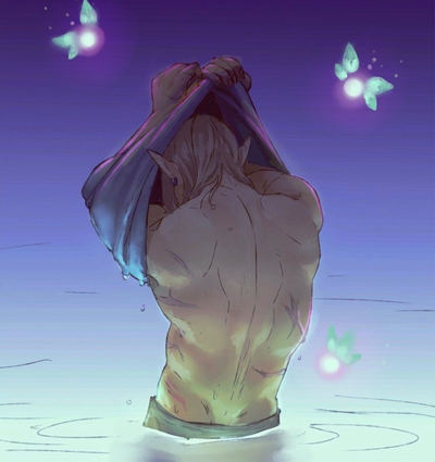 Link Hero of time
