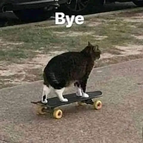 ANNOUNCEMENT