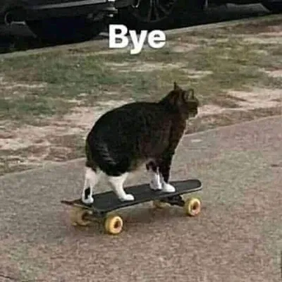 ANNOUNCEMENT