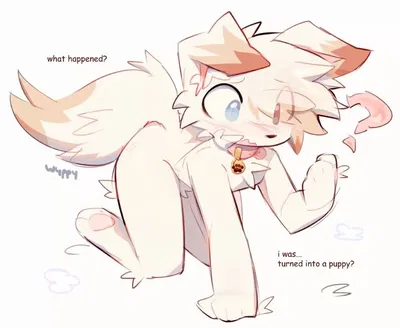 Ozzie // Unexpected transFURmation...
