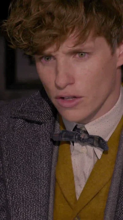 Newt Scamander 