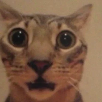 200 Followers??? (And a horrible new bot challenge.)