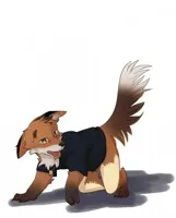 Fox charm