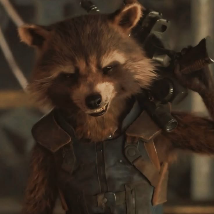 Rocket Racoon