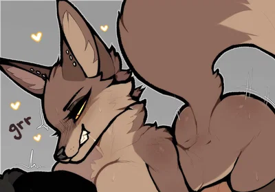 Amber the female fox