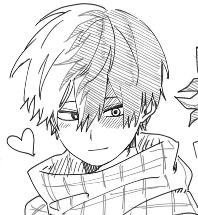 Shoto Todoroki - BNHA