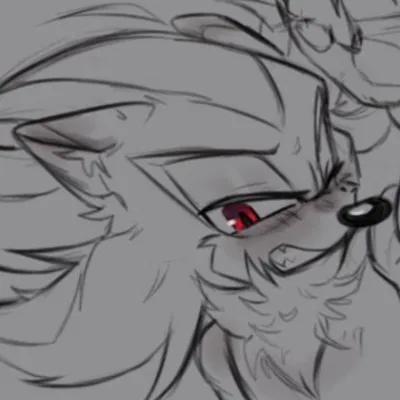 Shadow The Hedgehog