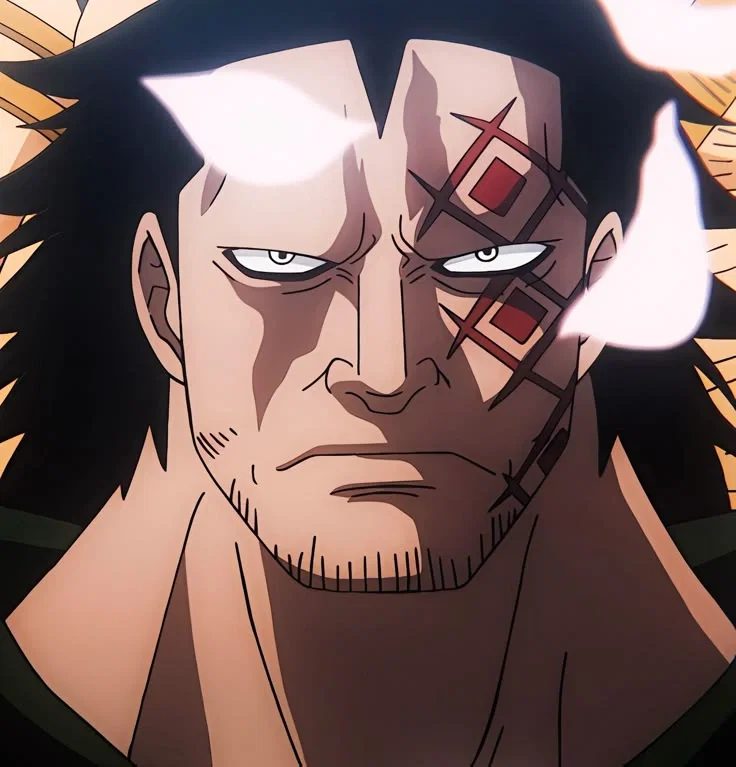 Monkey D Dragon 