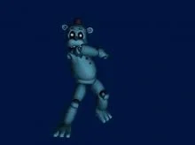 bear5