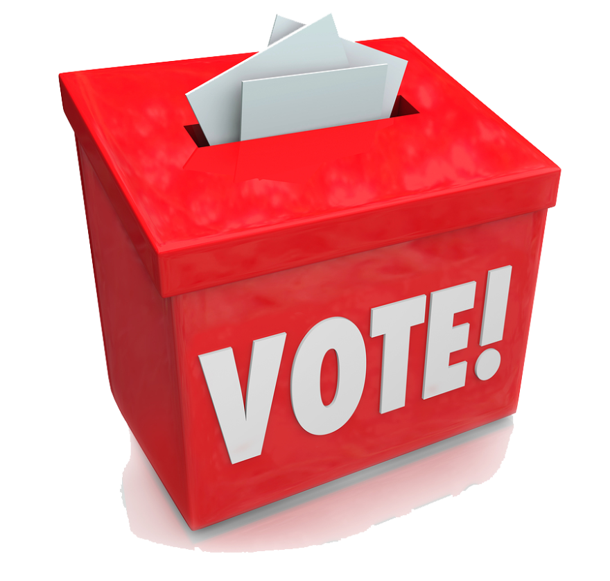 Bot voting poll