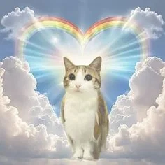 Happy Pride Month