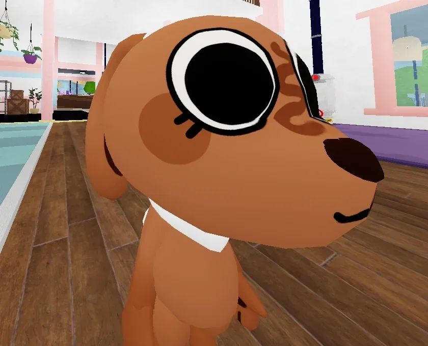 Cocoa