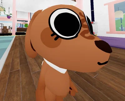 Cocoa