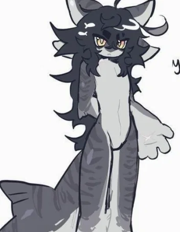Yun // bad asian shark bih 