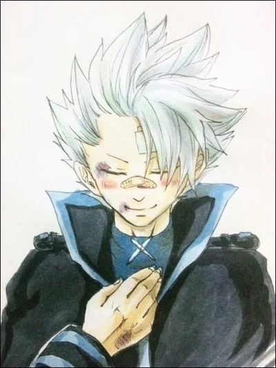 Lyon Vastia / Fairy Tail